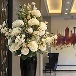 هيلتون أس أي
