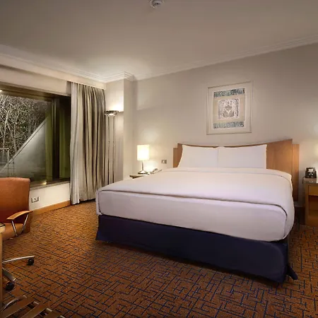 Hiltonsa