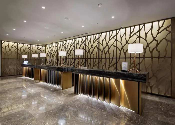 Hotel Hiltonsa Ankara