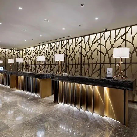 Hotel Hiltonsa Ankara