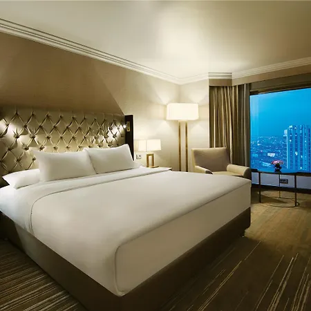 Hotel Hiltonsa 5*
